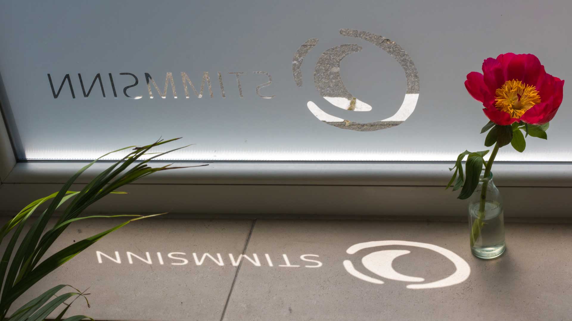 Was ist STIMMSINN? Anna Stijohann STIMMSINN