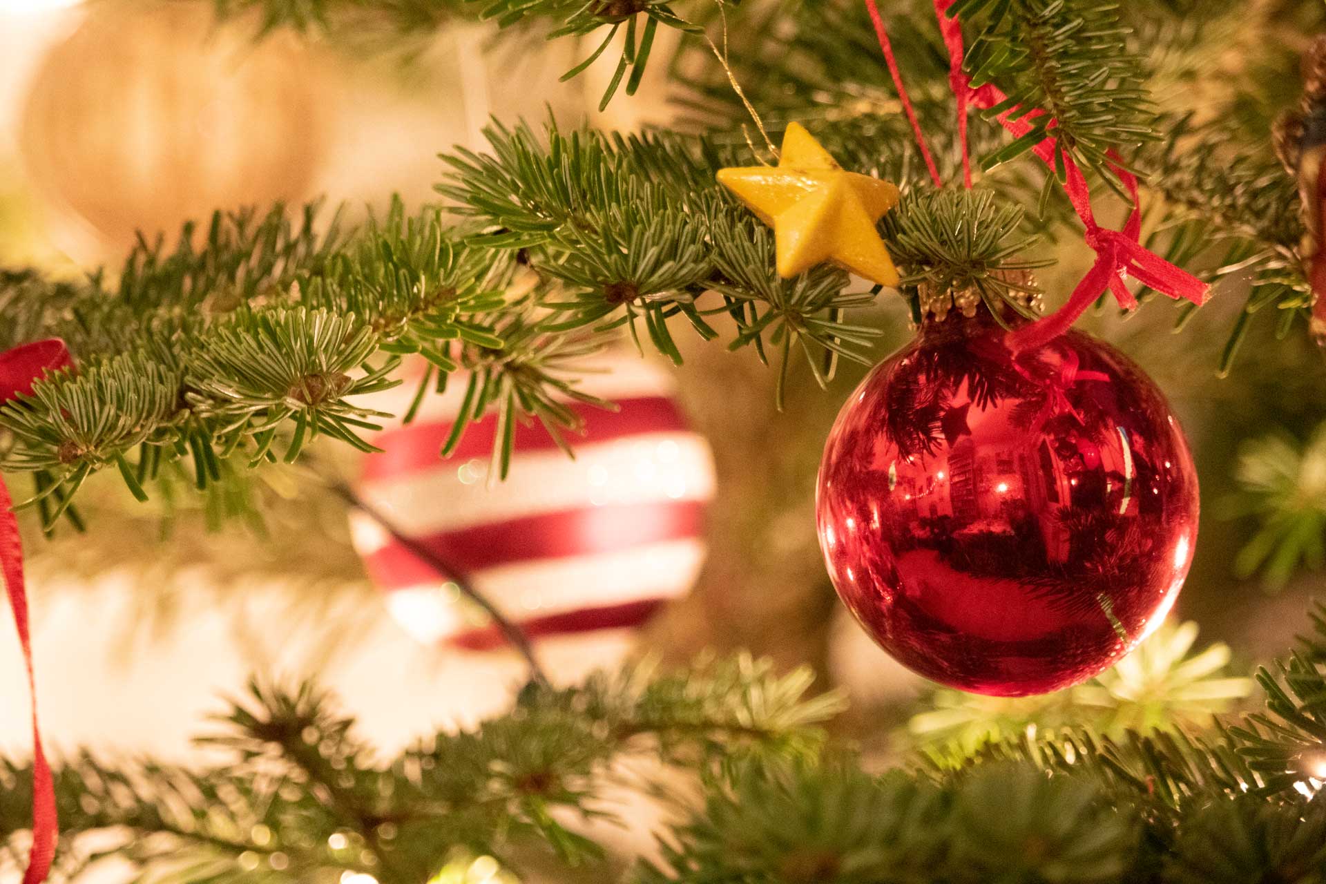 Christbaumkugeln im Baum