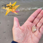 Twang oder Liebe - Gegensätze, Polaritäten, Spannungsfelder - im Dazwischen passiert das Leben