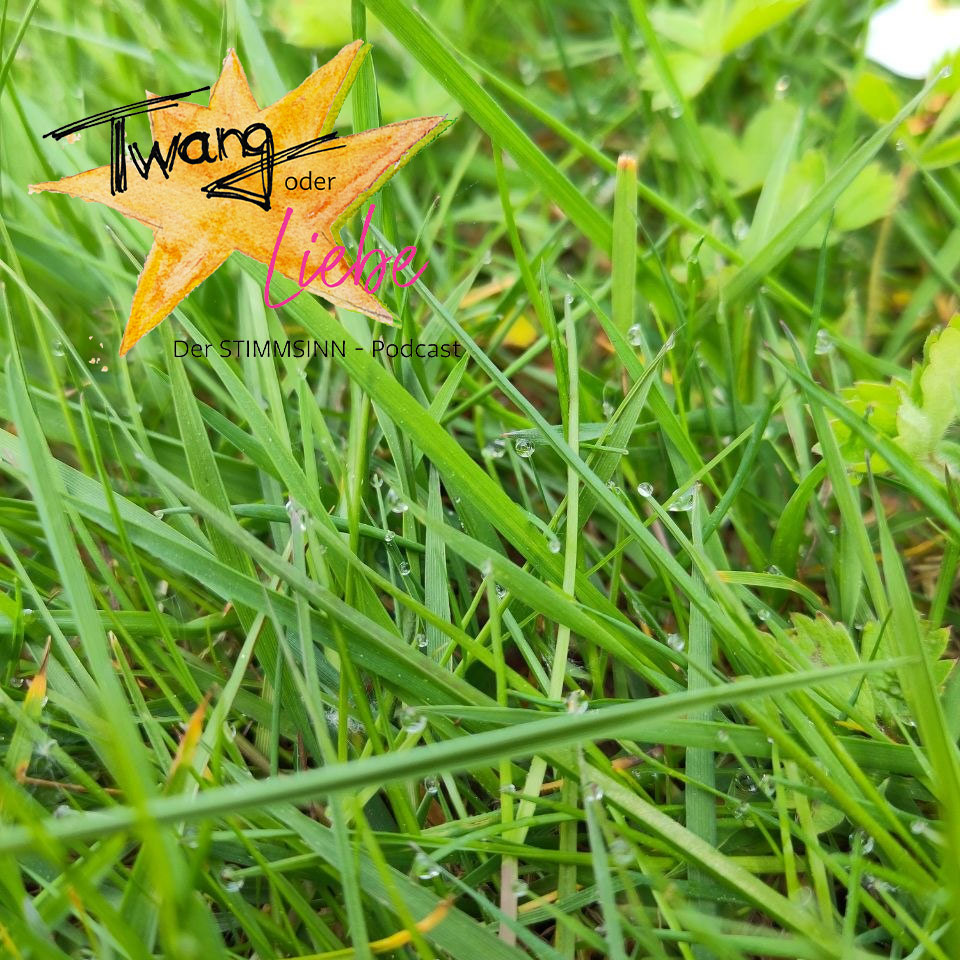 Wahre Größe episode artwork