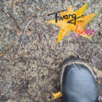 Twang oder Liebe - Gegensätze, Polaritäten, Spannungsfelder - im Dazwischen passiert das Leben