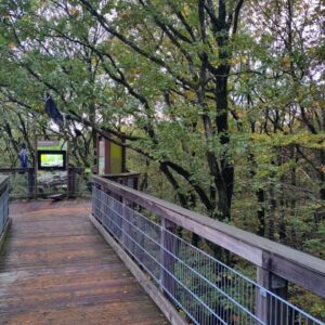 Ein Teil des Baumwipfelpfades